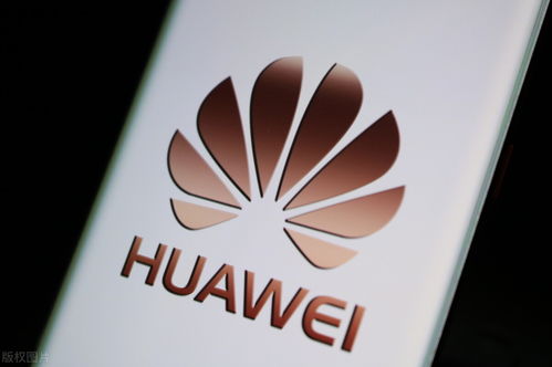 跨境電商快訊 數字文化創意內容驅動內容應用服務升級